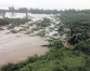 Flood hits fish, poultry and banana farming