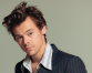 Harry Styles devastated over Denmark shooting, cancels concert