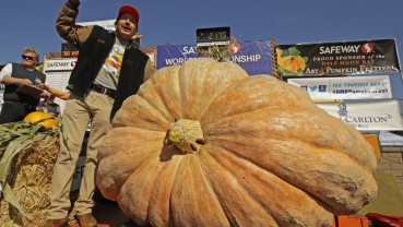 Giant pumpkin weighing 2,175 pounds sets California record