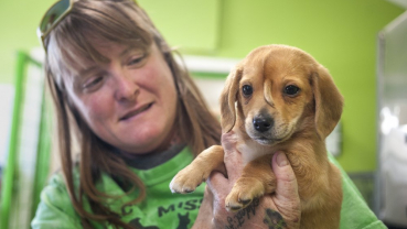 Rescue: ‘Unicorn’ puppy doesn’t notice ‘tail’ growth on head