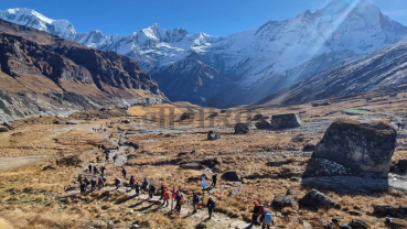 Majority of foreign tourists entering Nepal falls within the age group of 31 to 45 years: Tourism ministry data