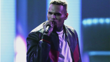 Chris Brown charged with monkey-related misdemeanors