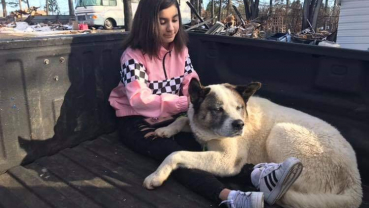 Dog reunited with family 101 days after California wildfire