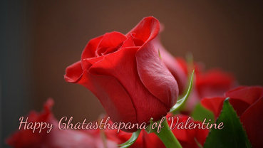 Rose Day: Ghatasthapana of Valentine