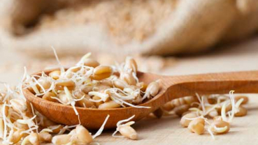 Are sprouted grains healthy?