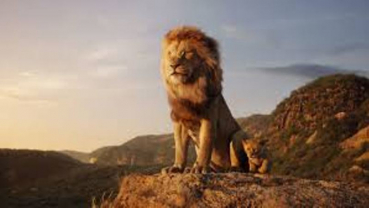 'The Lion King' is continuing its winning streak at the box-office!