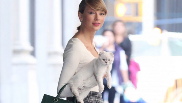 Taylor Swift files to trademark her cats' names