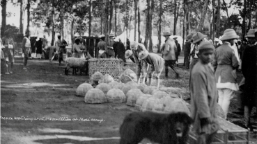 Nostalgia: Camp set up for Prince Albert Victor, Duke of Clarence and Avondale