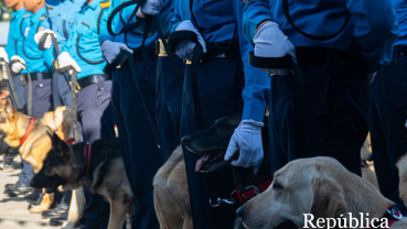 Nepal Police procuring 12 canines for Rs 2.9 million for investigative purposes