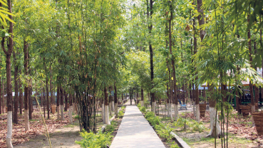 Eco-tourism thriving in Dharan