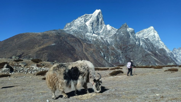 Low snow on the Himalayas threatens water security: Study