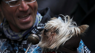Pets, owners flock to Madrid church for blessing of animals