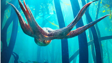 True human-octopus love story, 10 yrs in the making, is up for best documentary Oscar