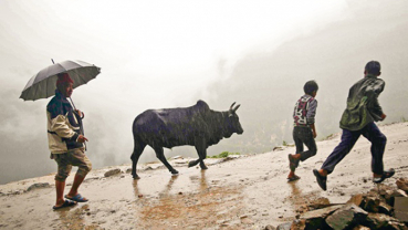 Rain likely in western Nepal for few more days