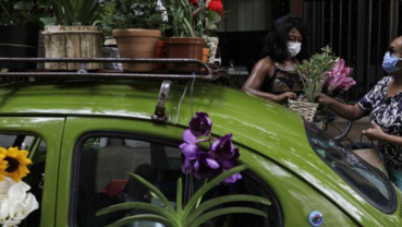 Selling flowers out of her VW Beetle helps Rio woman survive COVID-19