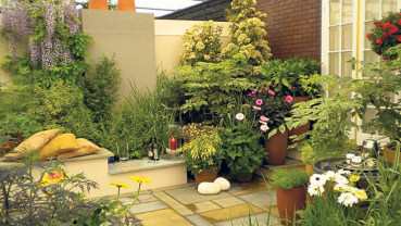 Rooftop Gardening Tips and Tricks