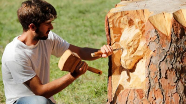 Sculptor transforms Rome's dead trees into art