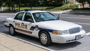 Deputies: Couple had sex in patrol car after arrest