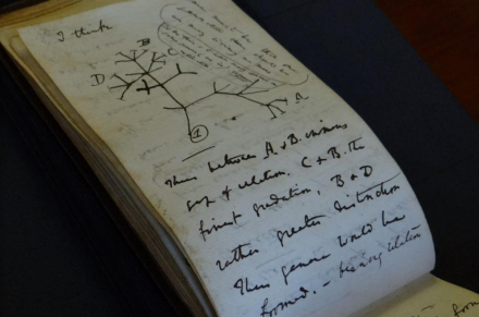 Darwin notebooks missing for 20 years returned to Cambridge