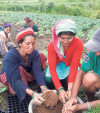 Women-friendly agriculture