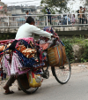 Cycling for livelihood: Can Kathmandu survive without cyclists?