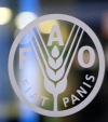 At 75, FAO is as relevant as ever