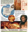 Infographics: Cave art shows Neanderthals were artists