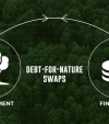 Debt for Nature Swaps: Exploring Avenues for Environment Finance