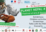 A festival for art and environment