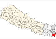 First dengue case in two years in Jhapa