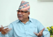 Party's name will be Nepal Communist Party after merger: Leader Nepal