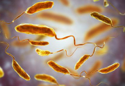 Two more cholera cases detected in Nepal