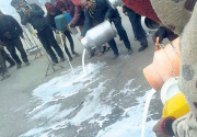 Farmers spill milk on road to protest against DDC