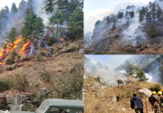 Gandaki Province reports cases of forest fire at 467 locations