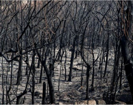 Heatwave and high winds threaten to reignite Australian wildfires