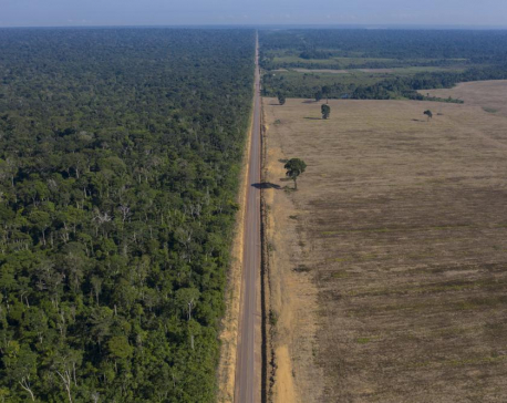 Brazil’s Amazon deforestation surges to worst in 15 years