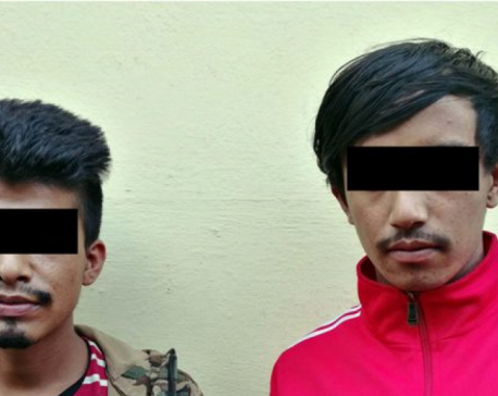 Two arrested on charge of gang-raping teenage girl in bus in Bhaktapur