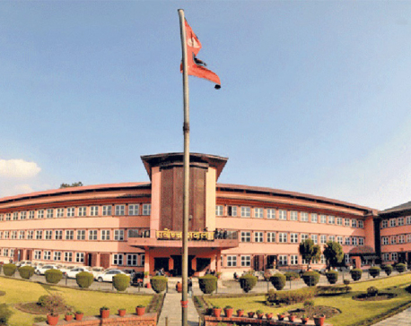 SC hearing on fake Bhutanese refugees case involving ex-deputy PM Rayamajhi today