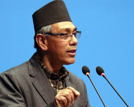 Education ministry not needed if it cannot make secondary education free: MP Suwal