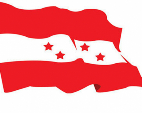 NC Taplejung nominates 3 district members and 5 invited district members