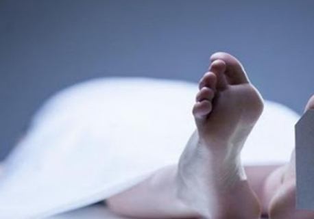 Woman commits suicide after killing her two sons