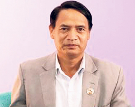 UML will emerge victorious in upcoming polls and fix judiciary’s issues: Tamang
