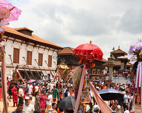 Gaijatra being observed across the country