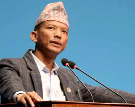 The budget addresses concerns of all sectors of Nepali society: MP Chaudhary