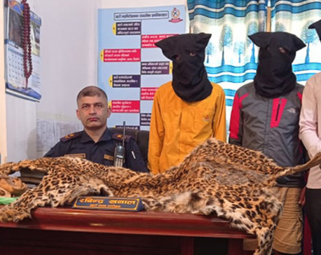 Three arrested with leopard hide and bones