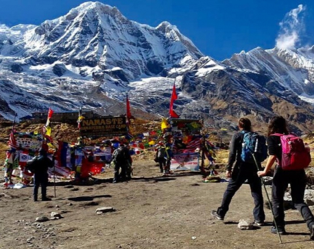 Annapurna Base Camp attracts domestic tourists during Dashain celebrations