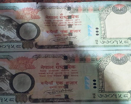 Police seize fake notes from Bhaktapur’s Changunarayan