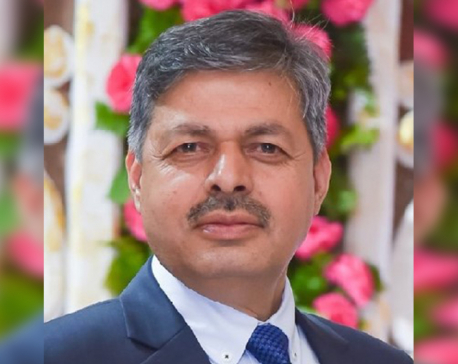 Sapkota appointed as Director General of Department of Roads