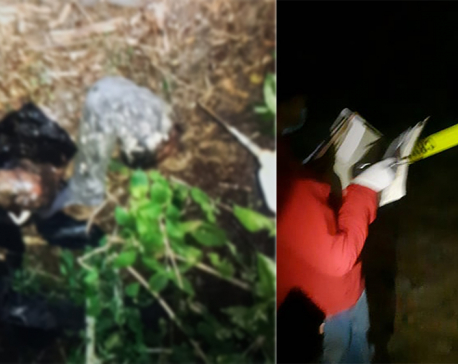 Body found in bags at forest along Dharan-Bhedetar road