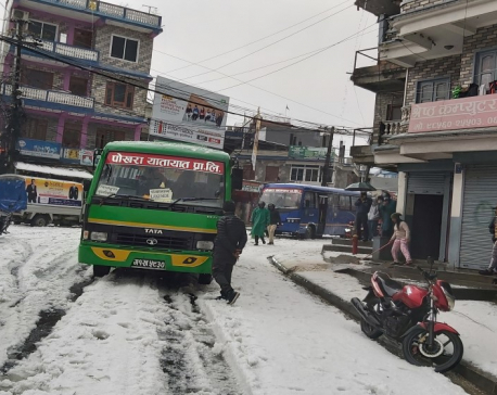 Damage by hail, rainfall in Pokhara estimated at Rs 110 million